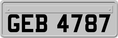GEB4787