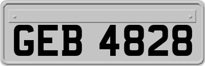 GEB4828