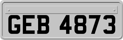 GEB4873