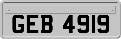 GEB4919