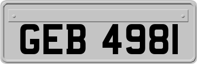 GEB4981