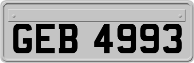 GEB4993
