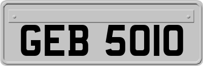 GEB5010