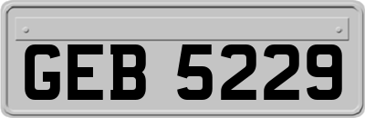 GEB5229