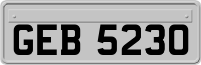 GEB5230