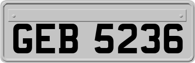 GEB5236