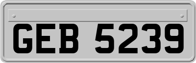 GEB5239