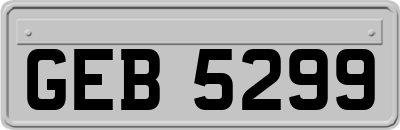GEB5299