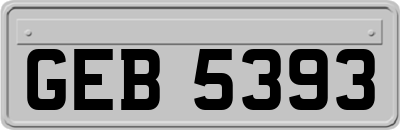 GEB5393