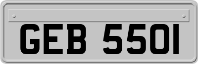 GEB5501
