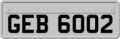 GEB6002