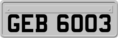 GEB6003