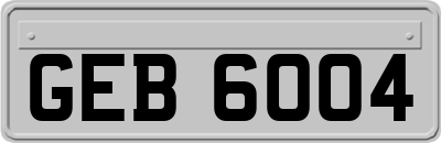 GEB6004