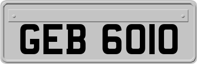 GEB6010