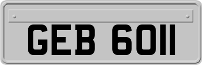 GEB6011