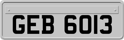 GEB6013