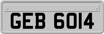 GEB6014