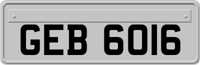 GEB6016