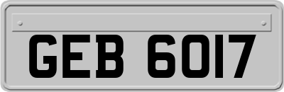 GEB6017