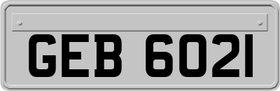 GEB6021