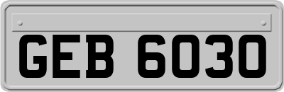 GEB6030