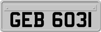 GEB6031