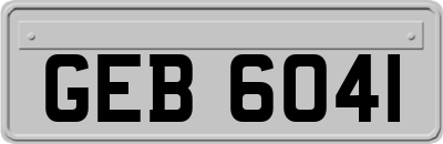 GEB6041