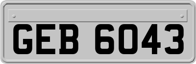 GEB6043