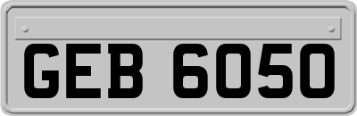 GEB6050