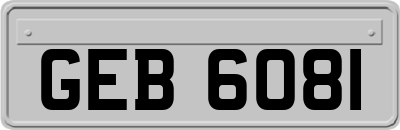 GEB6081