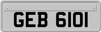 GEB6101