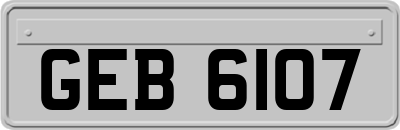 GEB6107
