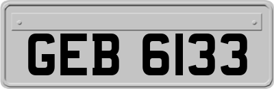 GEB6133