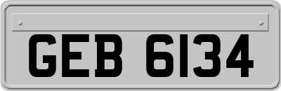 GEB6134