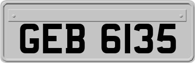 GEB6135