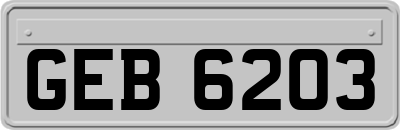 GEB6203
