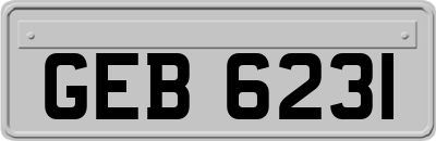 GEB6231