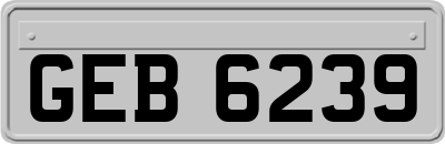 GEB6239