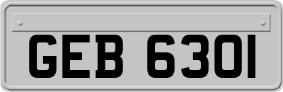 GEB6301