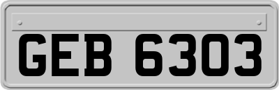 GEB6303