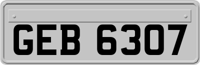 GEB6307