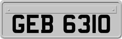 GEB6310
