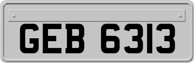 GEB6313