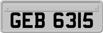 GEB6315