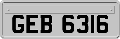 GEB6316