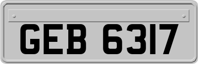 GEB6317