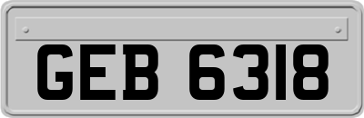 GEB6318