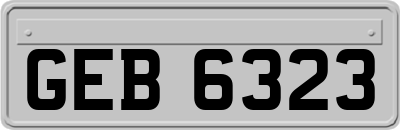 GEB6323