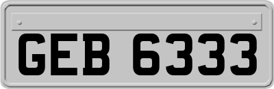 GEB6333
