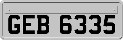 GEB6335